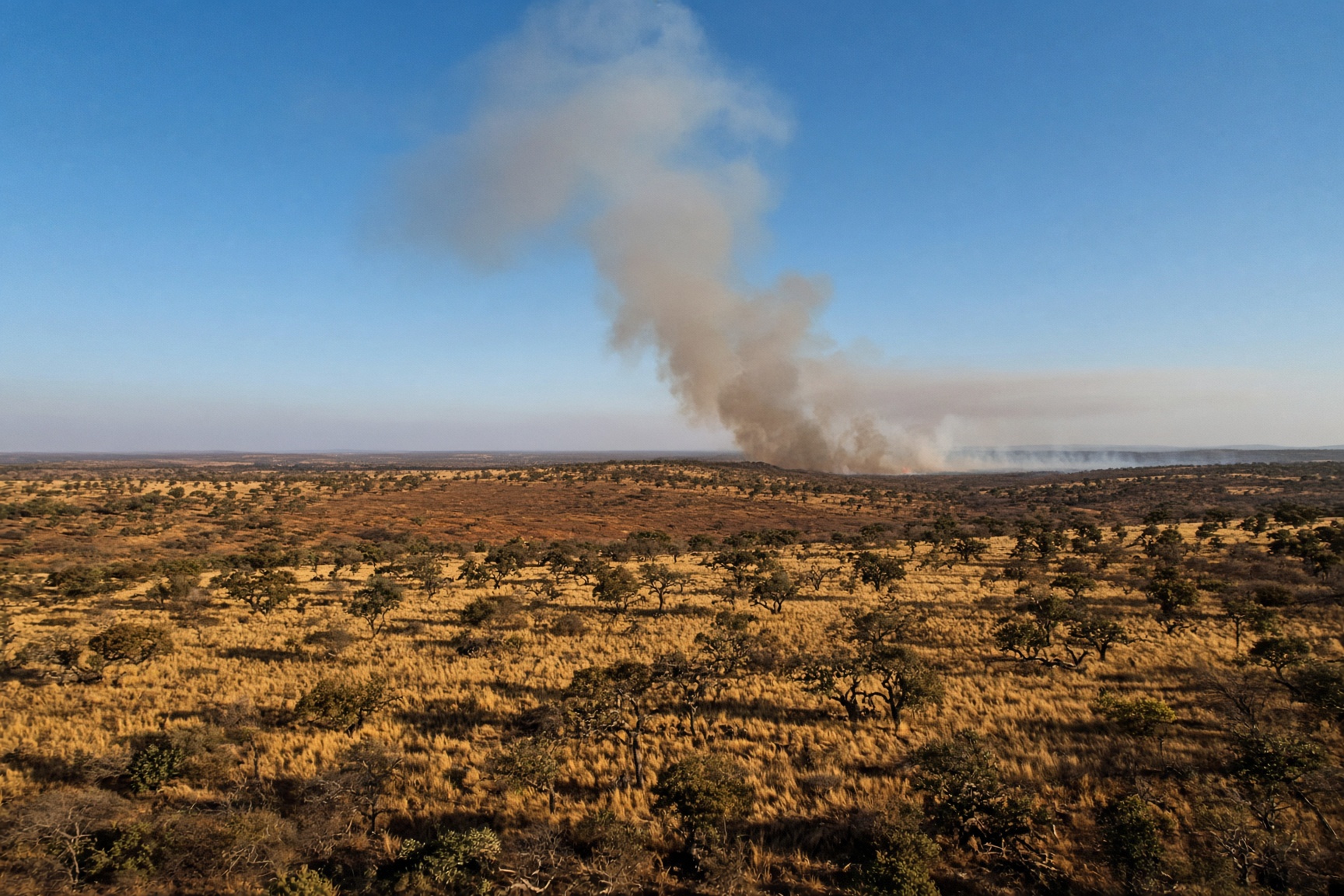 INPE registra recorde de focos no Cerrado em agosto